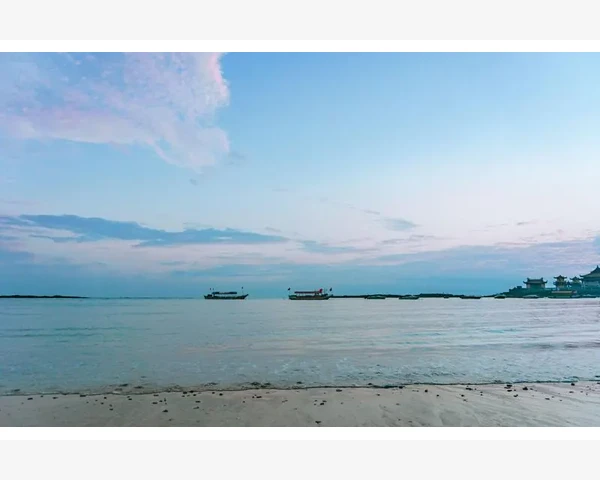 夏至后吃什么对脾胃好？