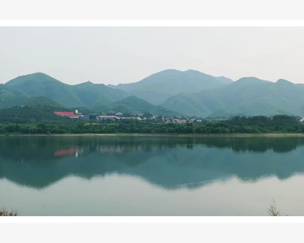 中医经络保健：足底筋膜外敷中药方剂，缓解疼痛，促进健康